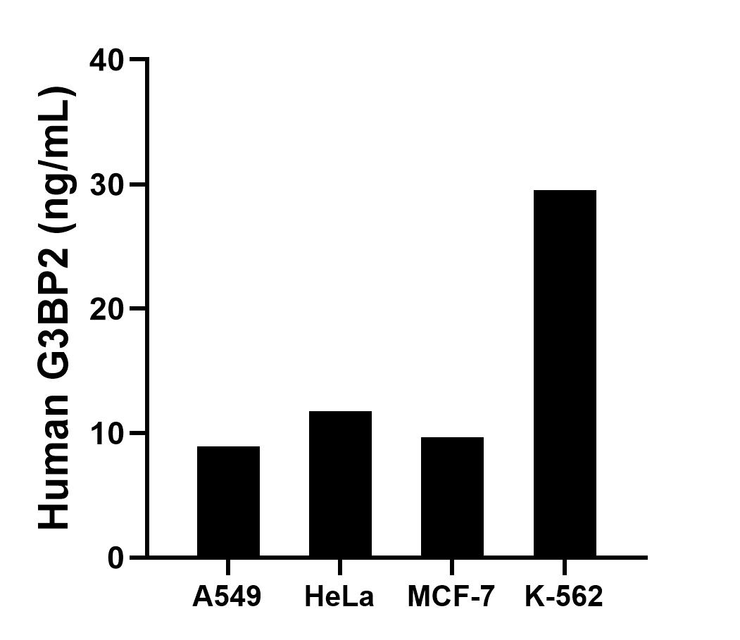 Sample test of MP00090-3